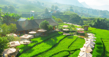 Savor coffee among Sa Pa’s terraced fields and floating clouds