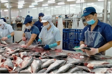 Vietnam emerges as second largest supplier of whitefish to US