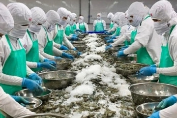 Seven-month seafood exports bring back US$5.3 billion