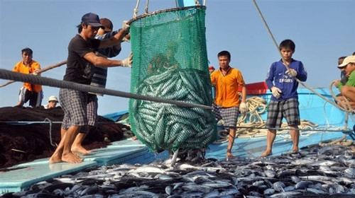 Tightening regulations and limited marine farming may impact exports