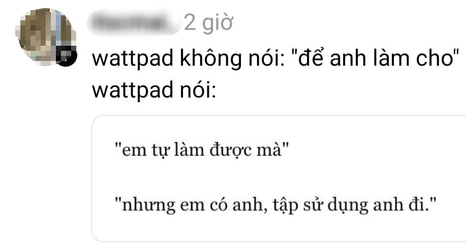 Young people fall in love with Vietnamese through 