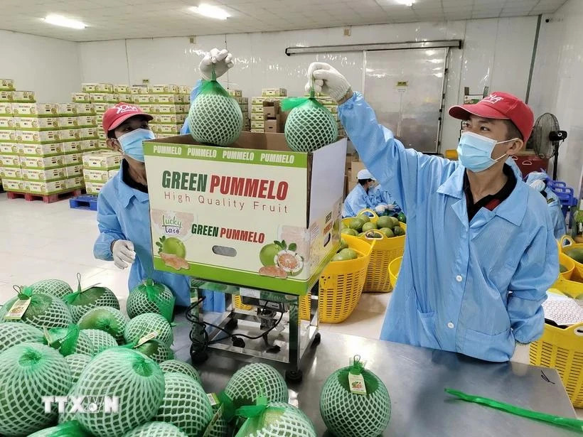 Ample room for Vietnamese fruits in Northeast Asian market