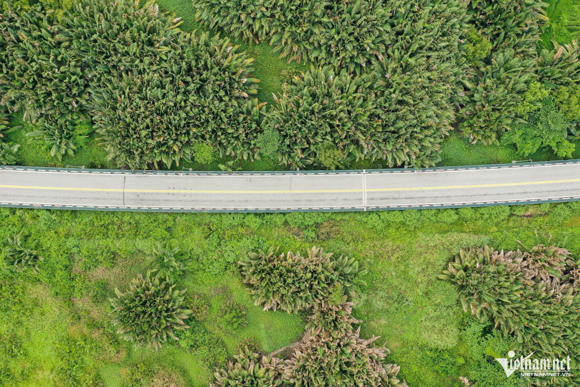 W-thủ thiêm 33.jpg