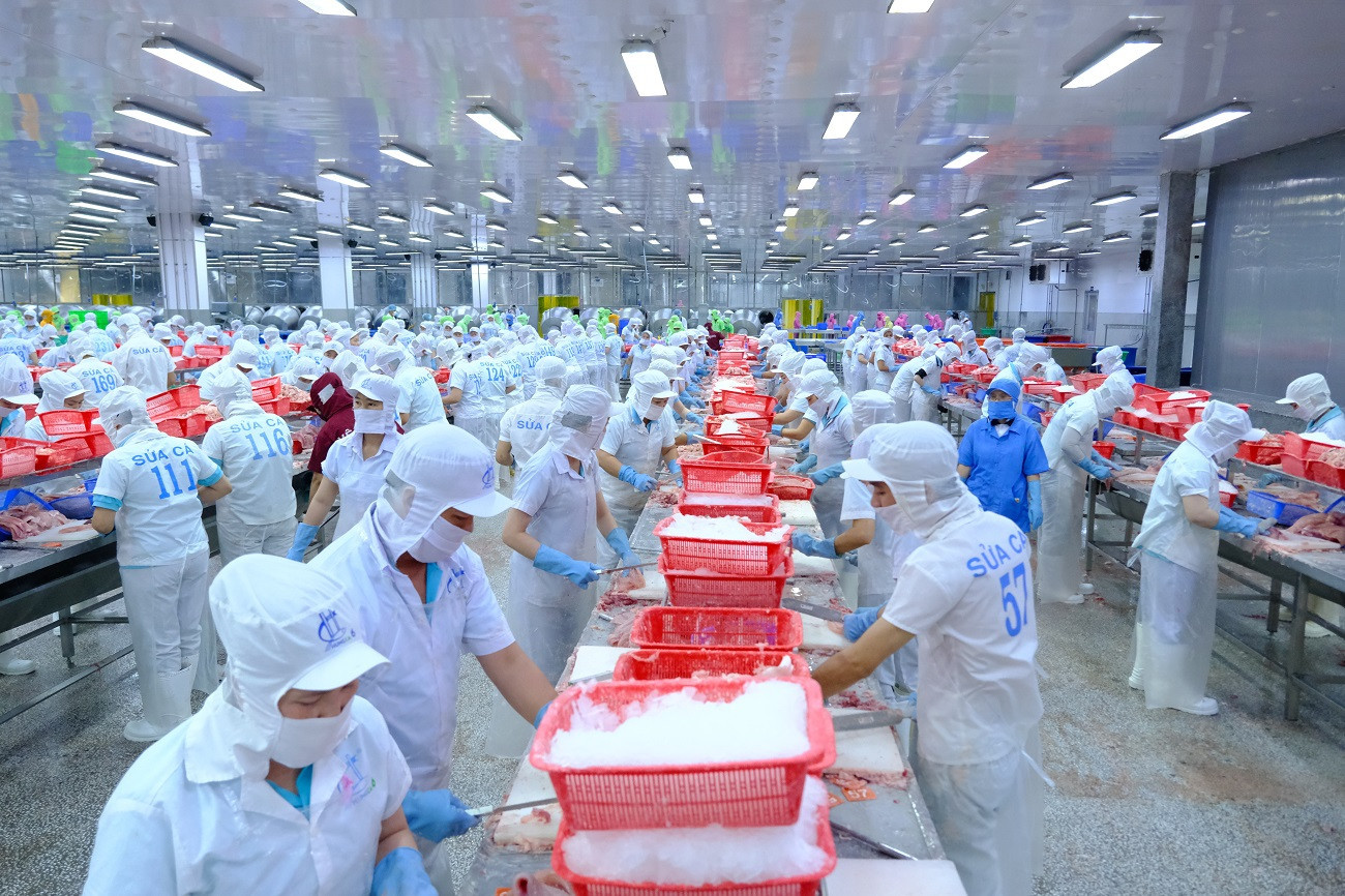 economy 1 HoangHa.jpg