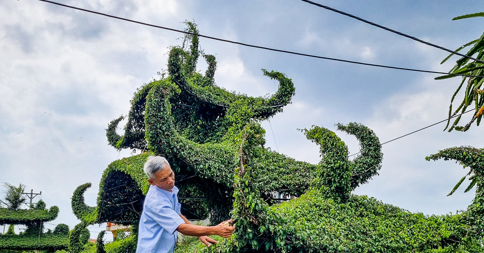 The art of bonsai: Captivating sanh trees in Vietnam