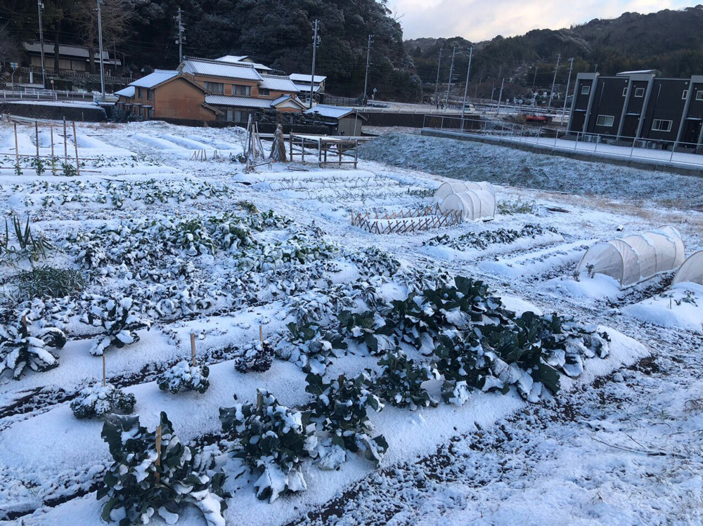 vuon doi banthan9 47.jpg