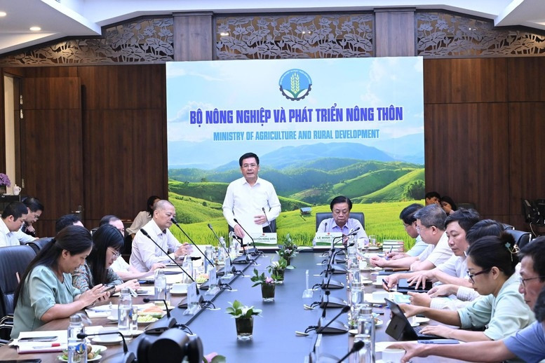vietnam to consider setting up national rice council picture 1