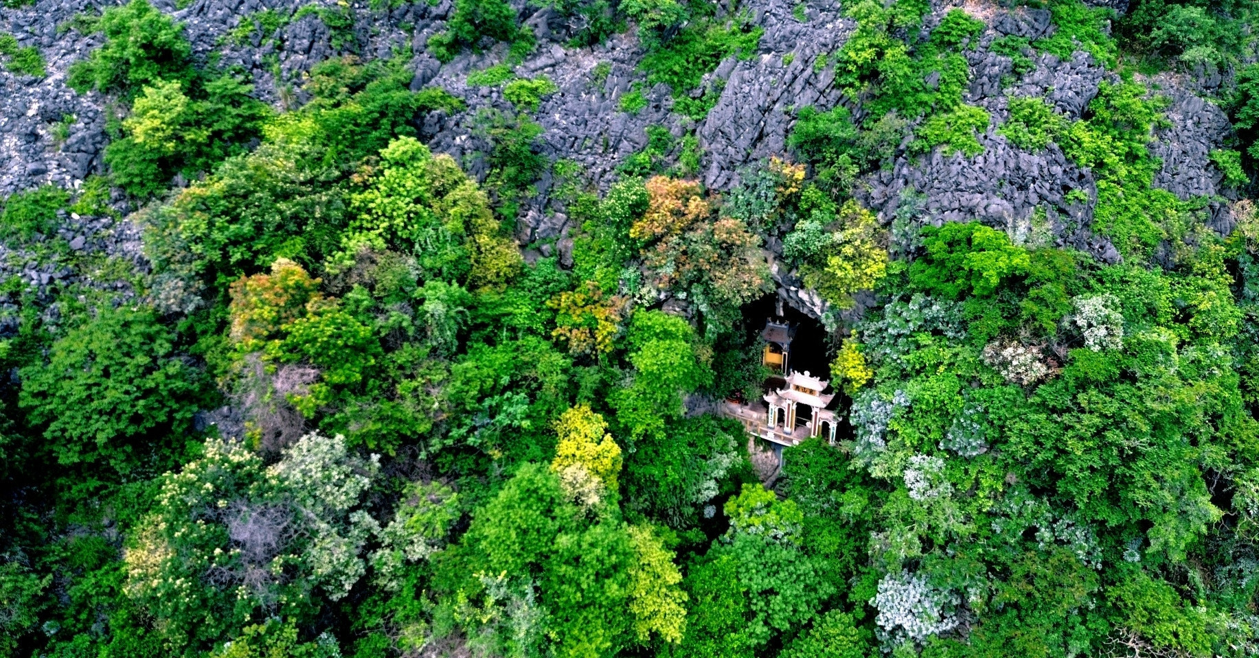 The enchanting third wonder of southern Vietnam: Dich Long Cave in Ninh Binh