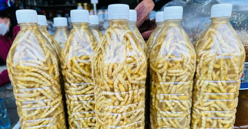 Vietnam's delicacy: Sought-after ‘bedroom elixir'