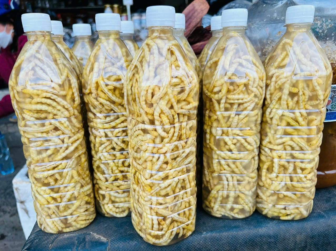 sâu chít vũ thị ngọc.jpg