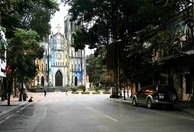 Hanoi’s favourite trees toppled by typhoon Yagi