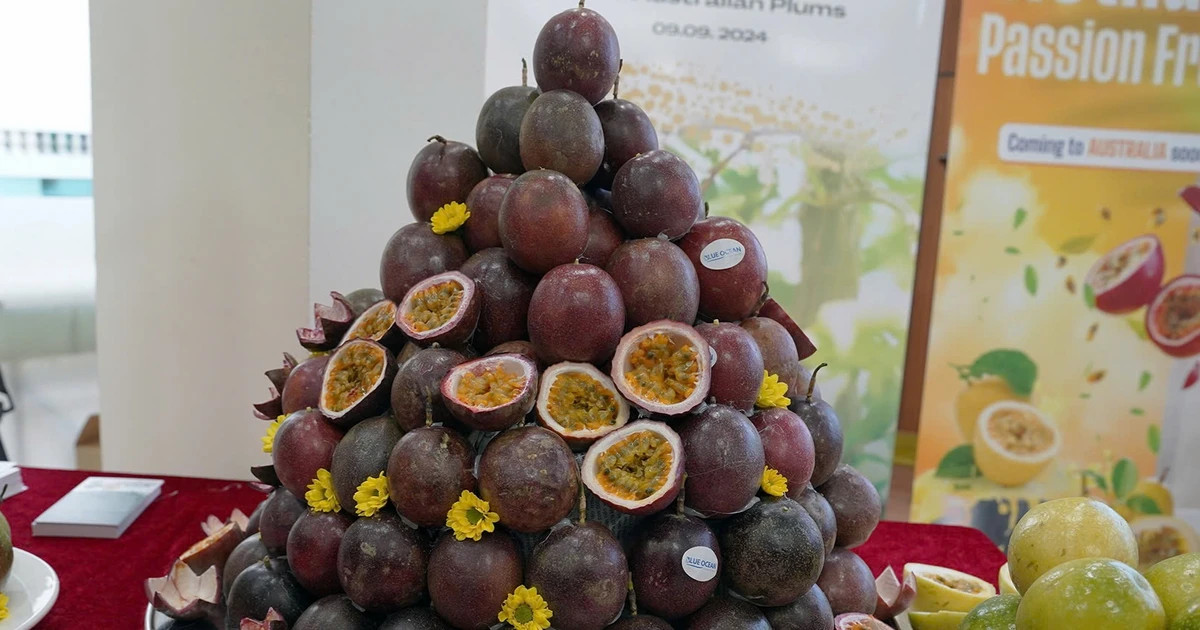 Vietnamese passion fruits enter Australian market