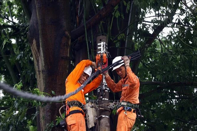 Electricity supply resumed to over 4.8 million customers affected by typhoon