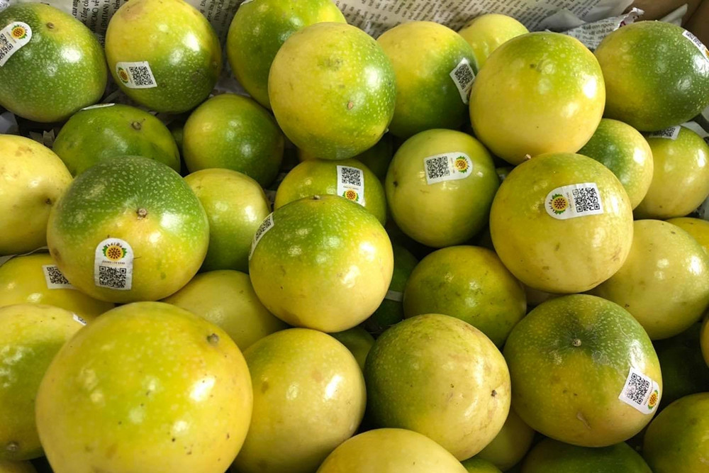 Passion fruit gets go-ahead to Australia, US, northern farmers to benefit