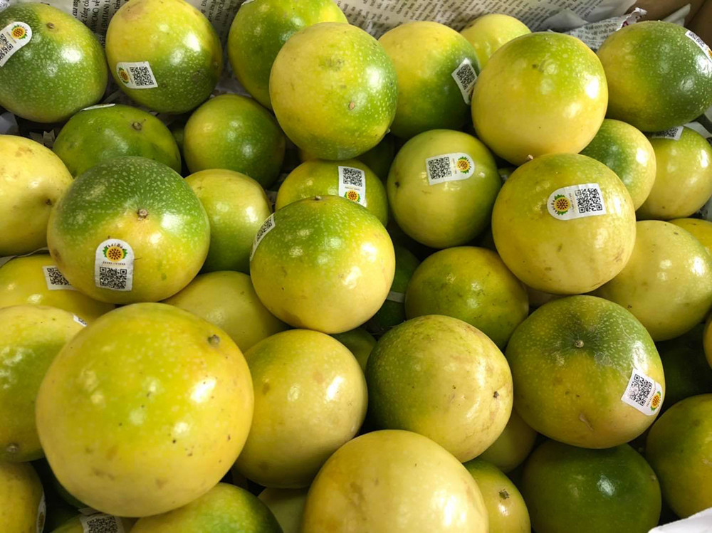 passion TungLinh.jpg