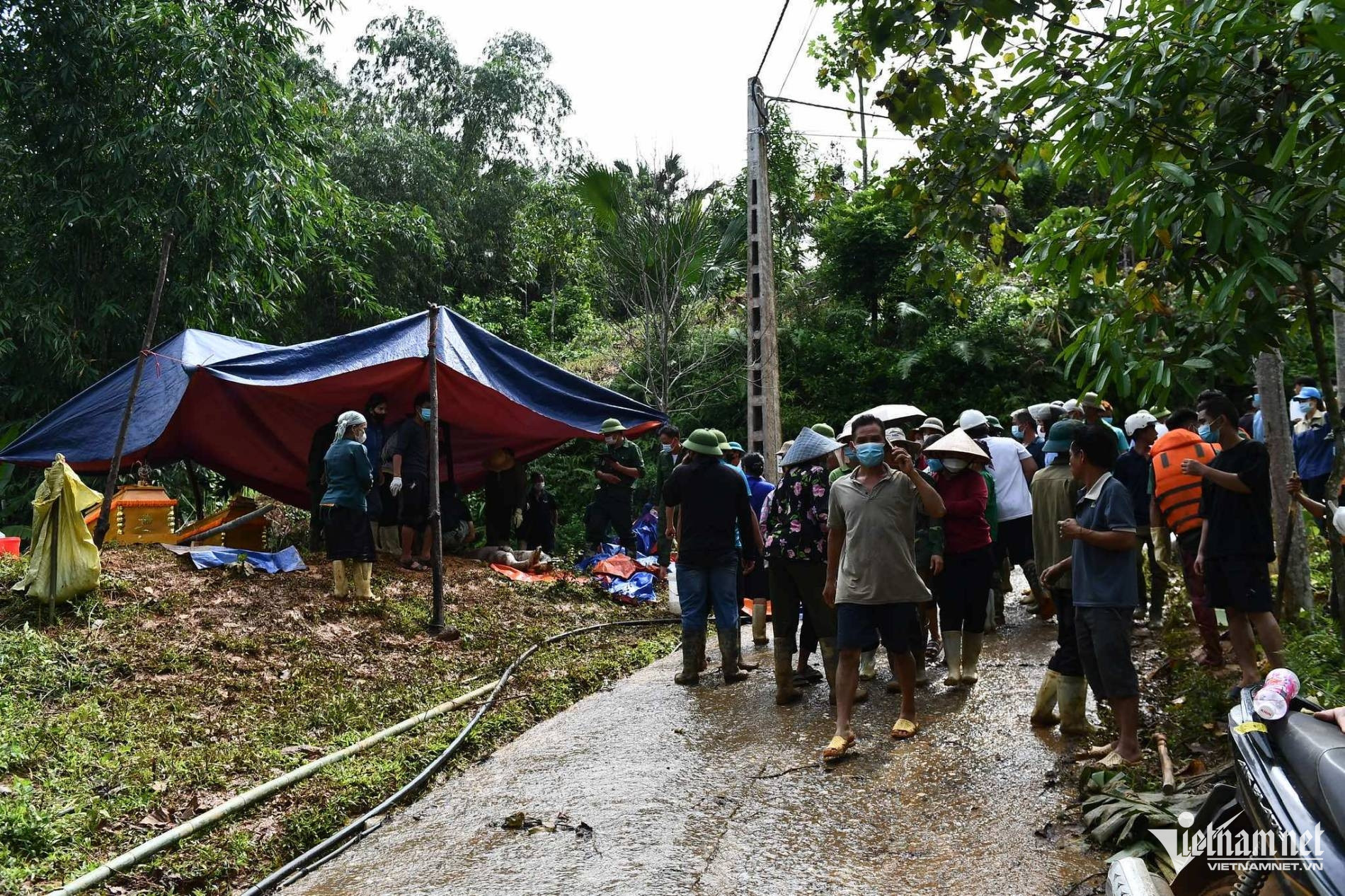 W-người dân.jpeg