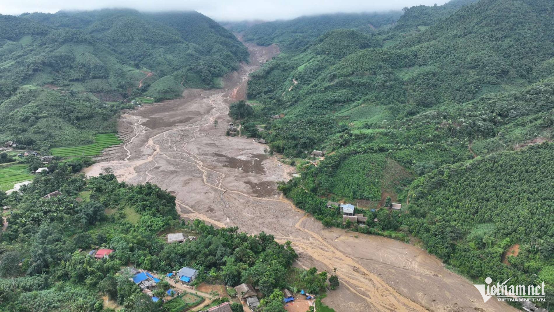 W-tìm kiếm 3.jpeg