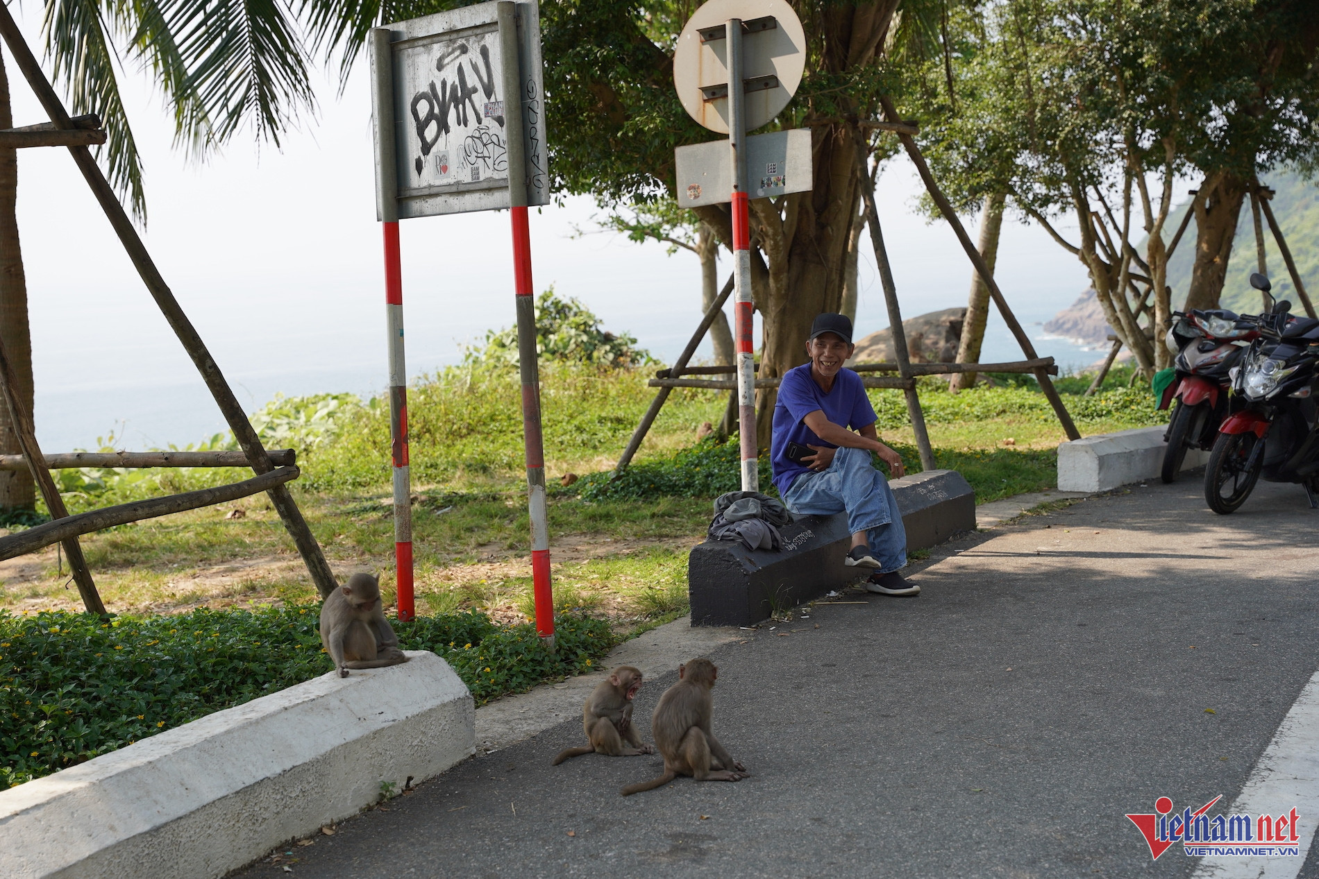W-khỉ sơn trà.JPG.jpg