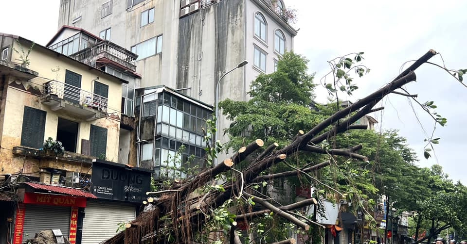 Tax relief measures announced for Hanoi residents & businesses hit by Storm Yagi