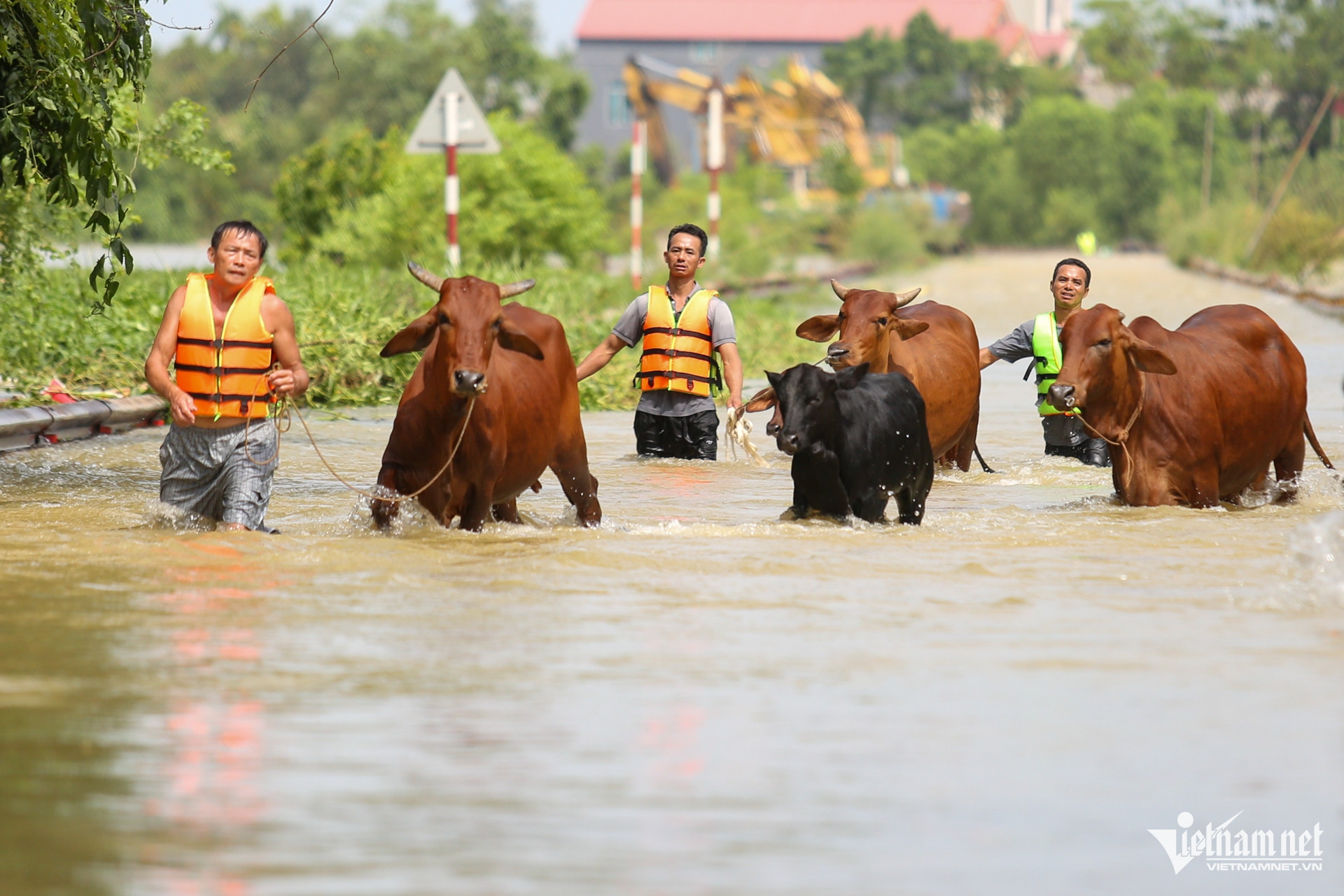 W-mưa ngập Sóc Sơn 46.jpg