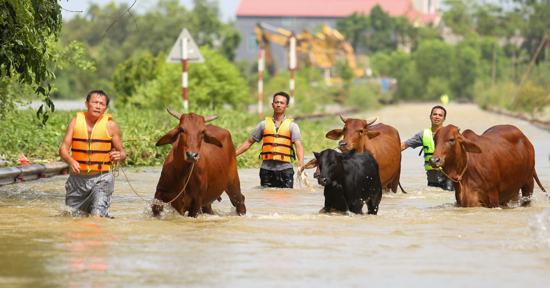 New Zealand donates 1 million NZD to support Vietnam’s post-typhoon recovery