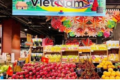 Thailand represents largest Vietnamese export market in ASEAN