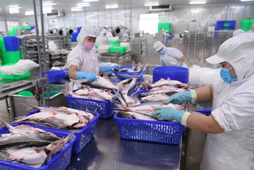 Vietnam's seafood exports continue recovery