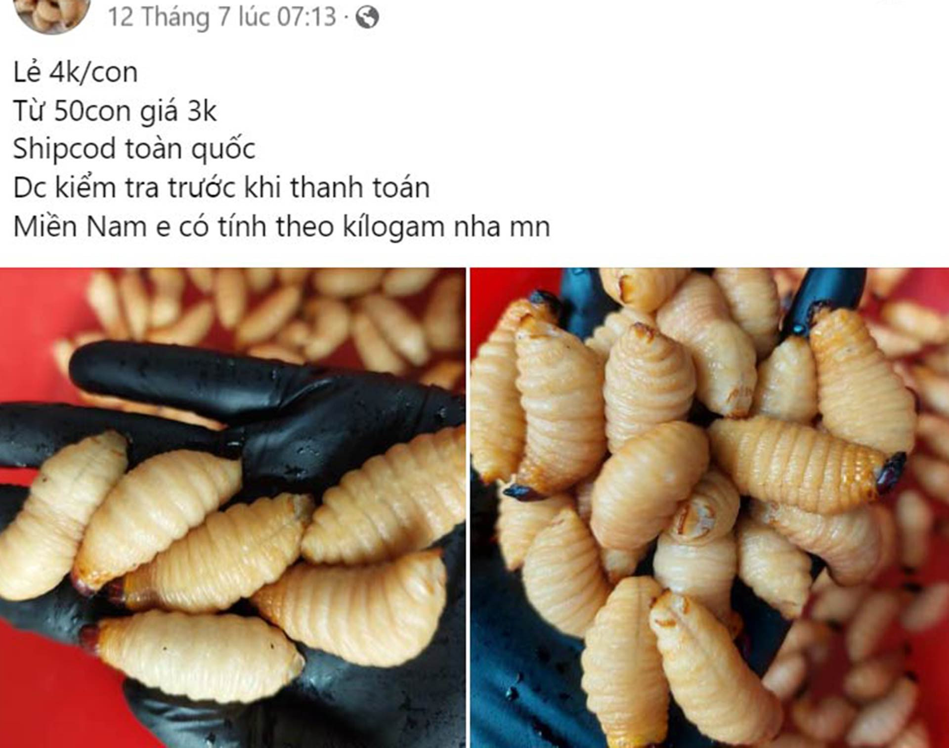 duong dua.jpg