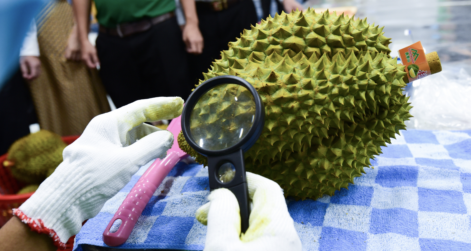 China to spend $10 billion on durian imports, issues warnings to VN exporters