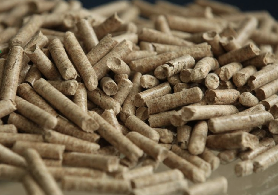 forest KimTruongPhuc.png