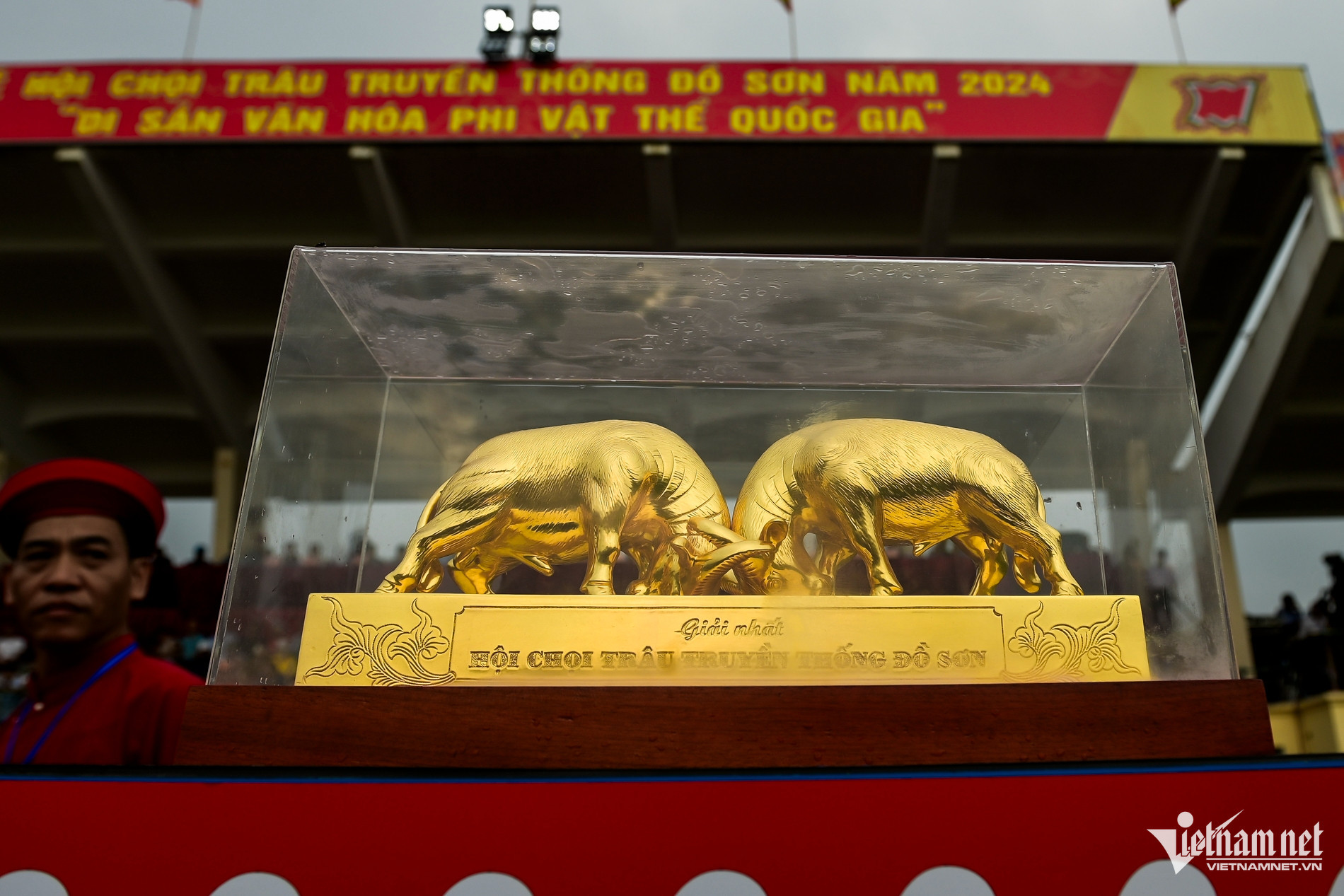 W-khai mạc chọi trâu đồ sơn.jpg