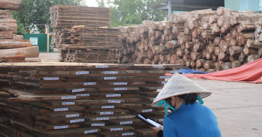 Legitimate wood enterprises struggle amid tax refund delays