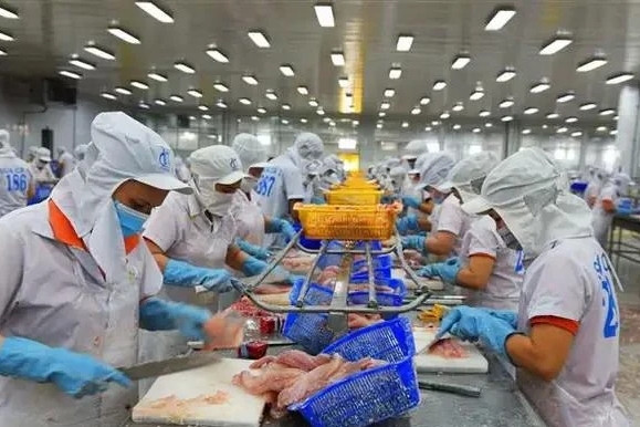 DOC announces preliminary anti-dumping review results for VN catfish exports