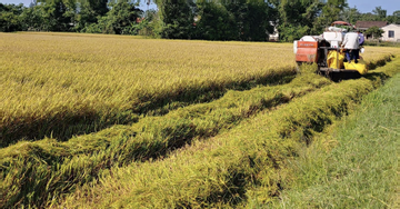 Mekong Delta farmers set to receive $40 million in carbon credit payments