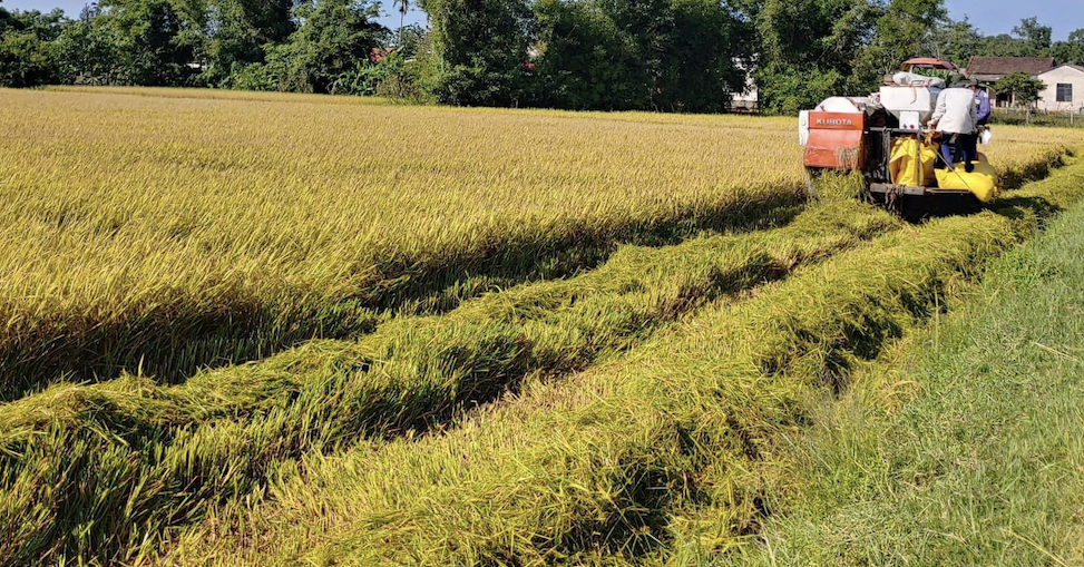 Mekong Delta farmers set to receive $40 million in carbon credit payments