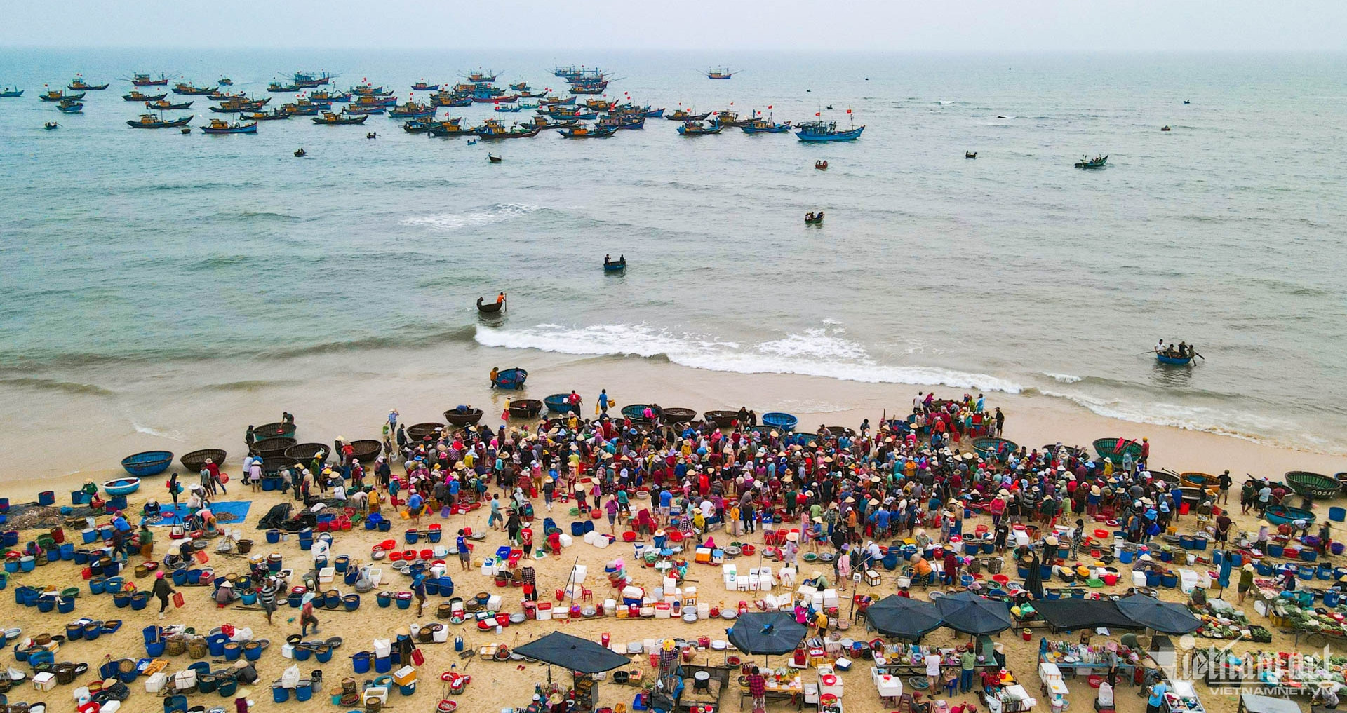 Discover VN coastal markets: fresh seafood by the bowl, bargains by the sea