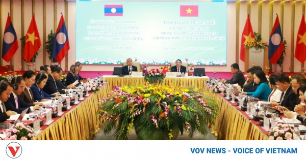 Vietnam and Laos share lawmaking experience