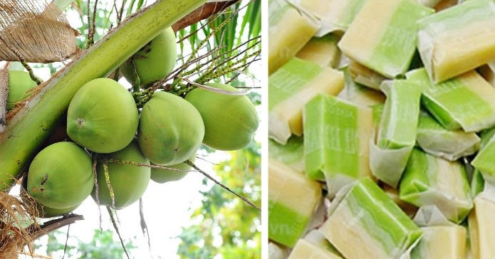 Vietnamese coconut candy makes top 70 sweets list worldwide