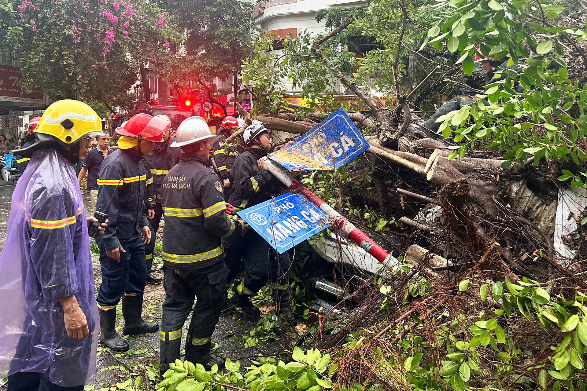 z5806796714450_6170f05580cad8159603b599c8d095fb copy.jpg