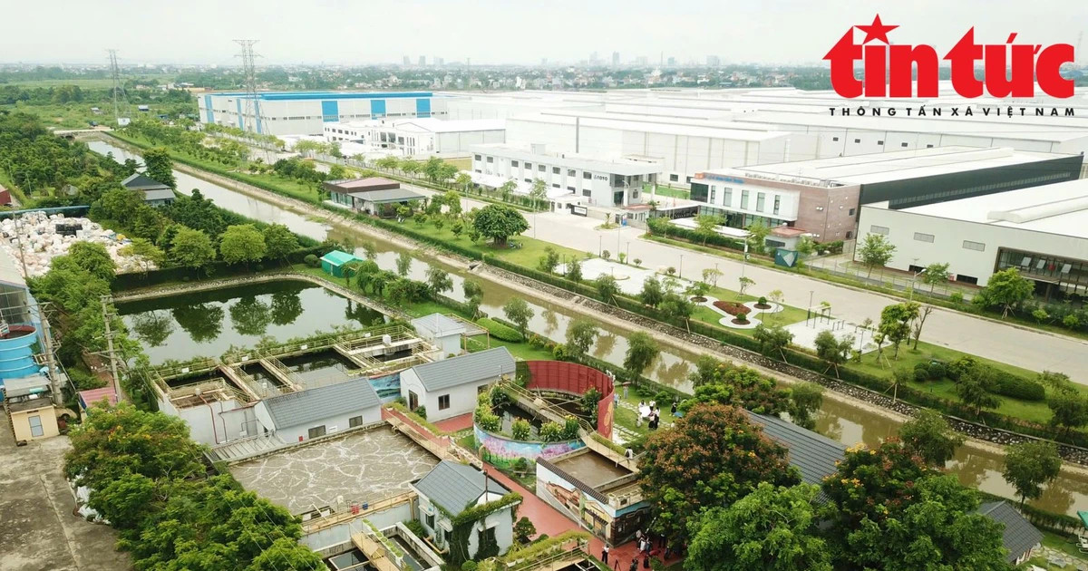 Eco-industrial parks vital to achieving net zero emission target by 2050