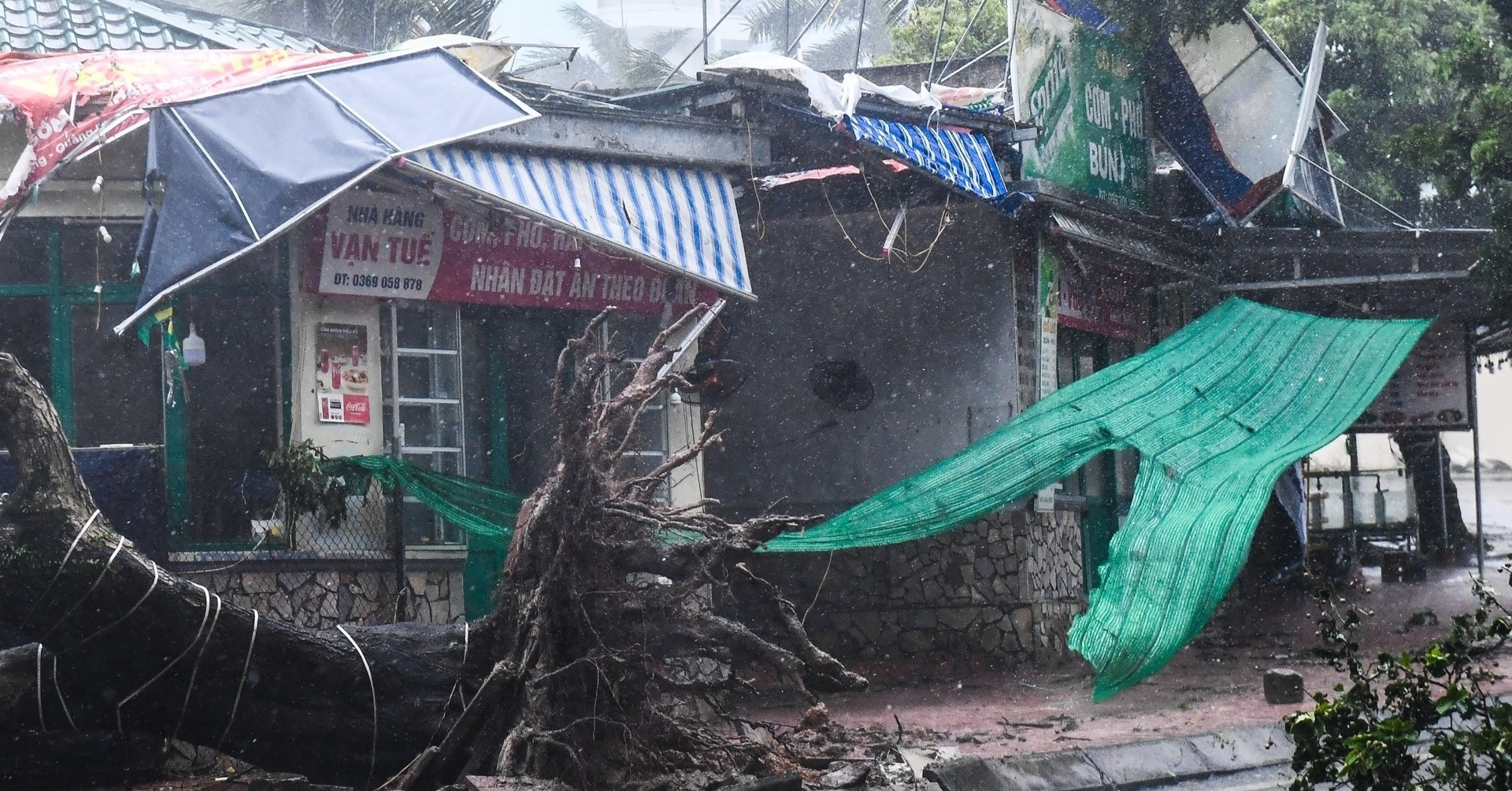 Typhoon Yagi wreaks havoc in Ha Long: Major damage and bridge closure