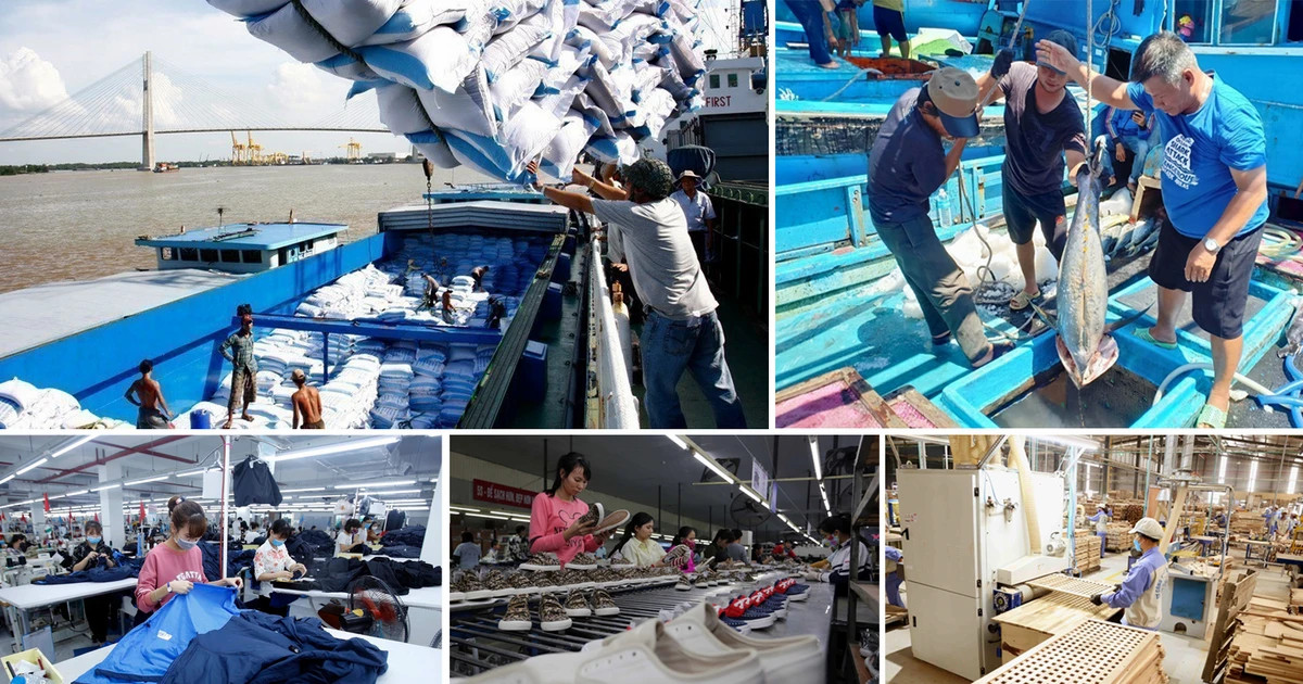 Vietnam’s capital market develops strongly Vietnam’s capital market develops strongly