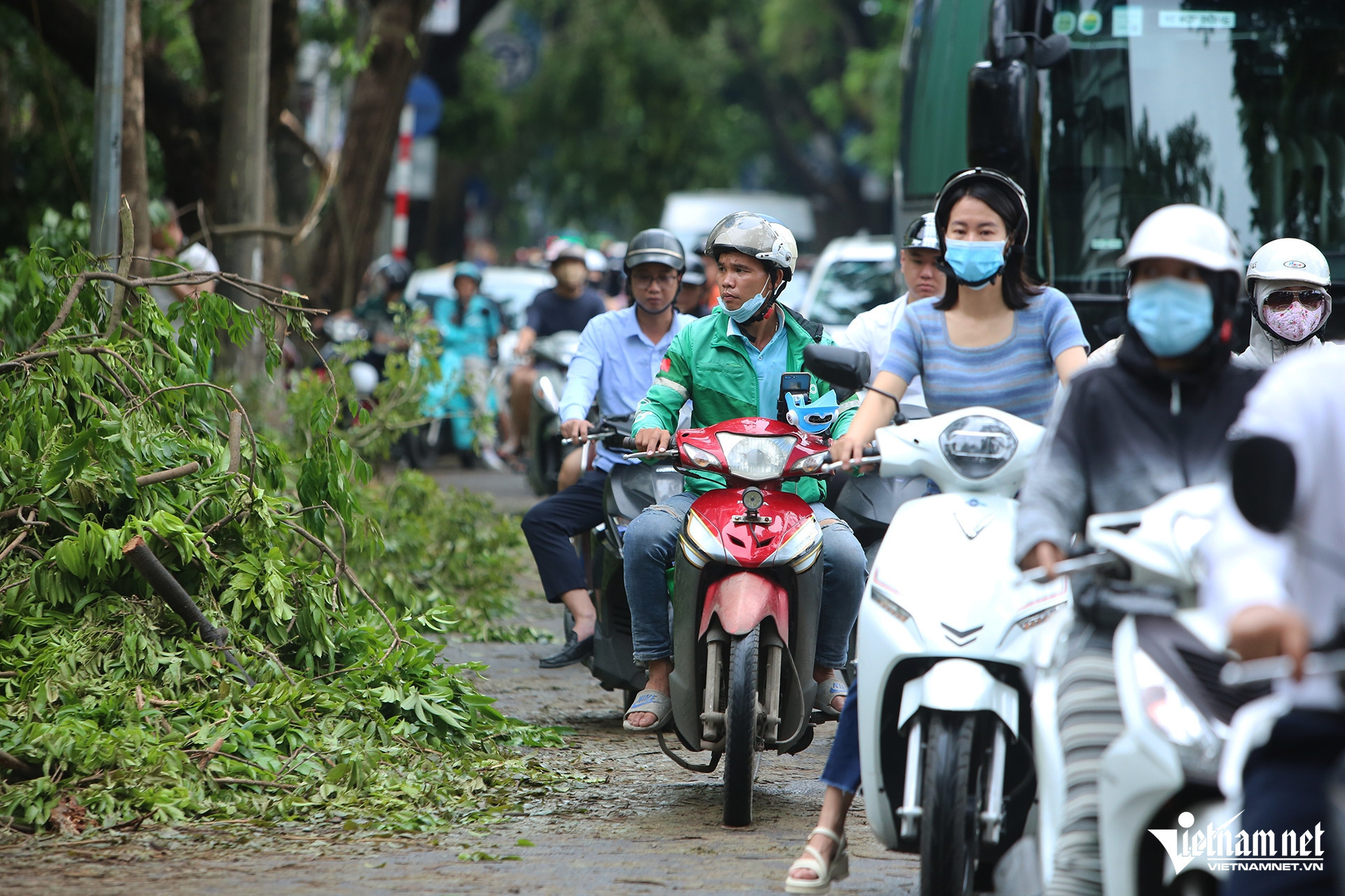 W-cay do HN 2 copy.jpg