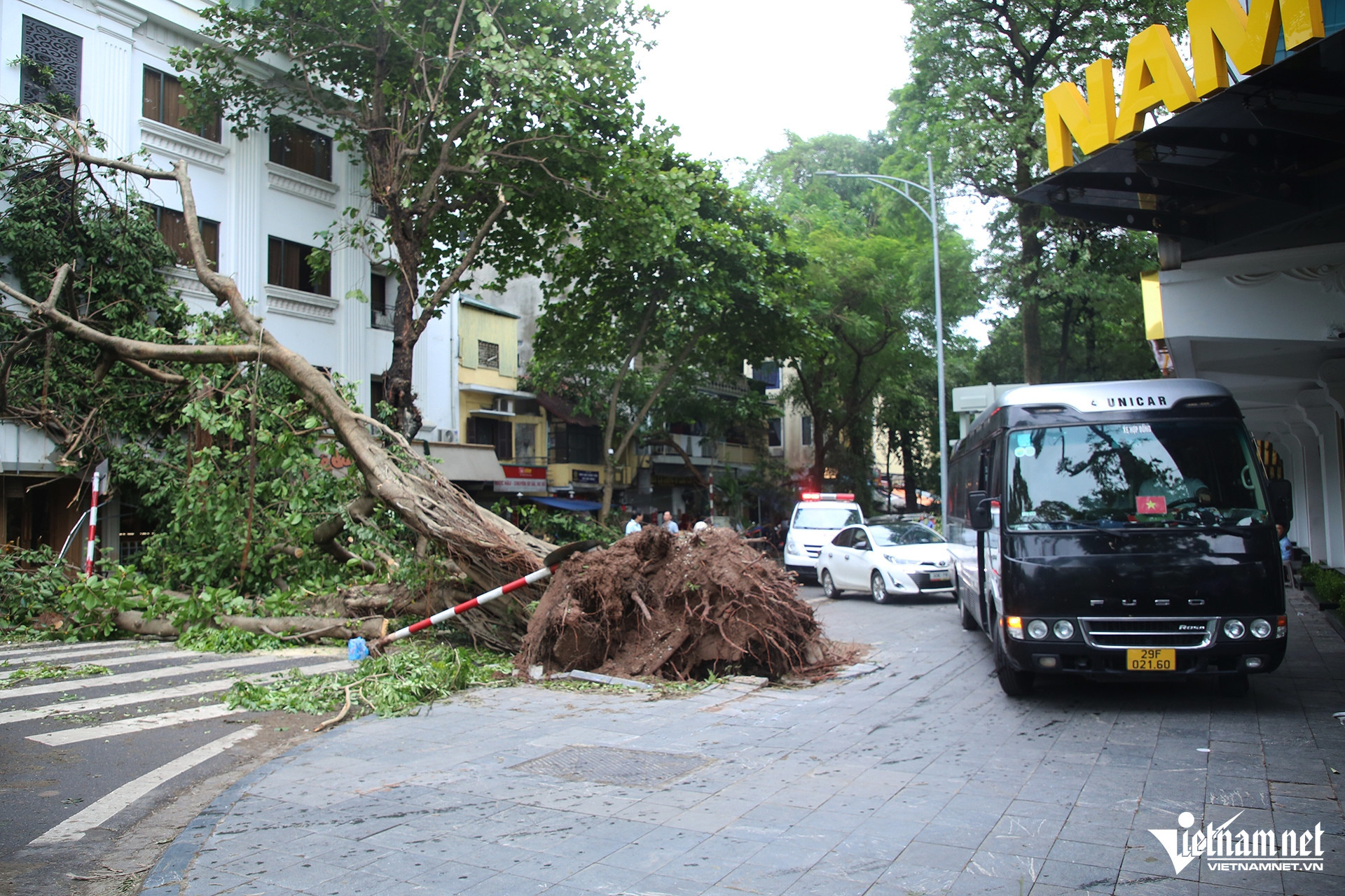 W-cay do un tac HN copy.jpg