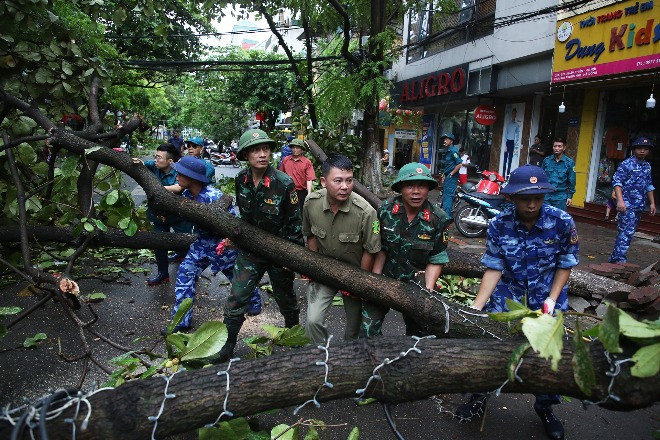 Hanoians rush to clear fallen trees & rescue damaged vehicles after typhoon Yagi