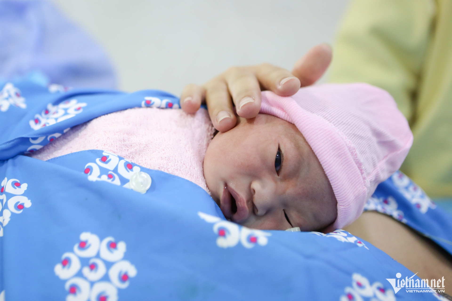 W-công dân đầu tiên, TPHCM.jpg