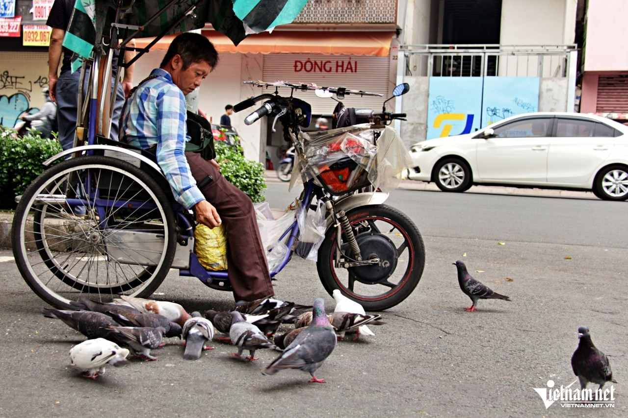 Lottery ticket seller in HCM City feeds wild birds to ease loneliness