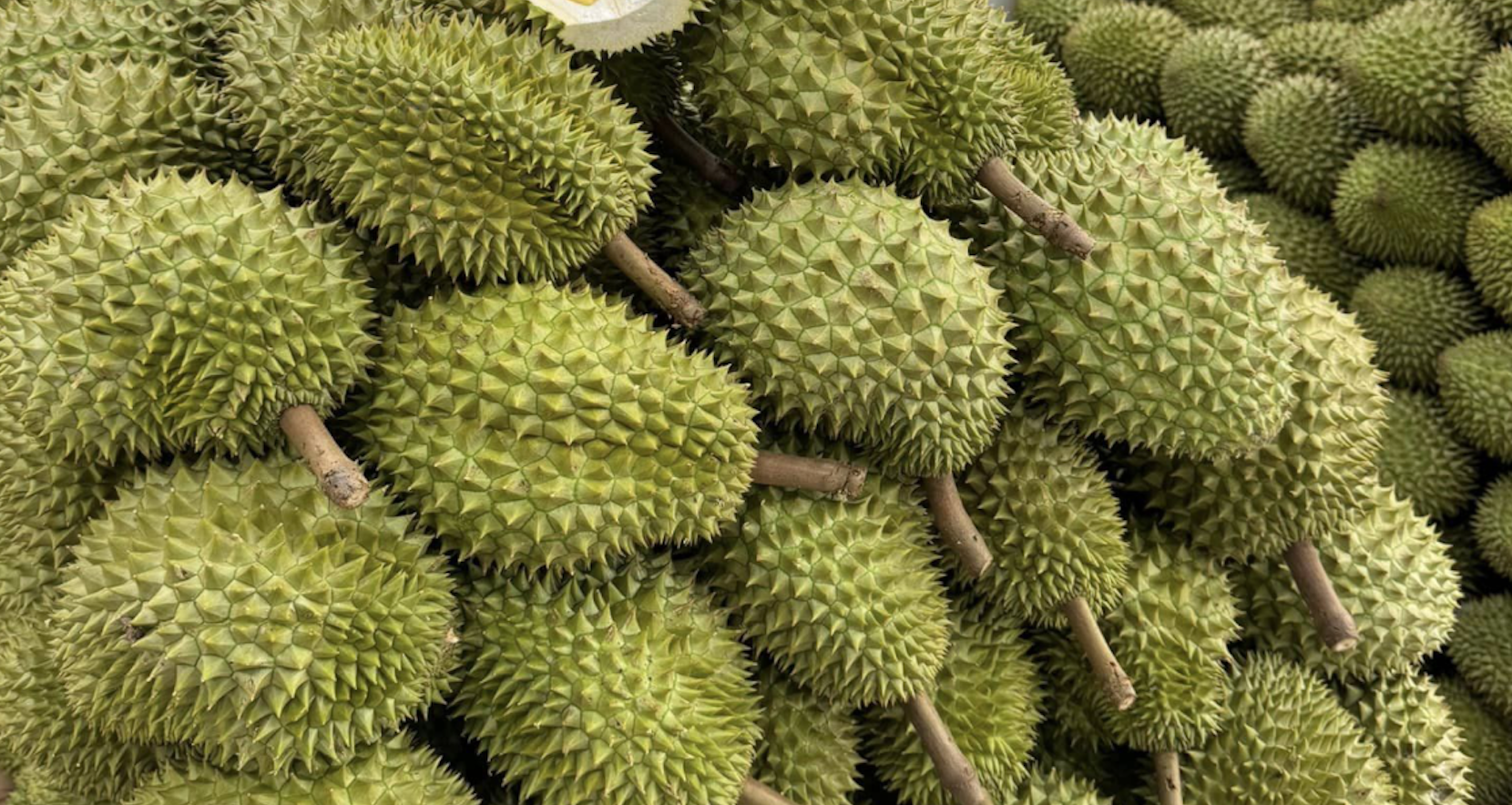 Warnings on pesticide residues threaten Vietnam’s booming durian exports