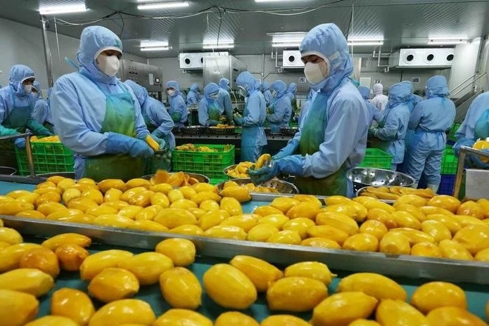 Vietnam eyes 8 billion USD in fruit, vegetable export value in 2025