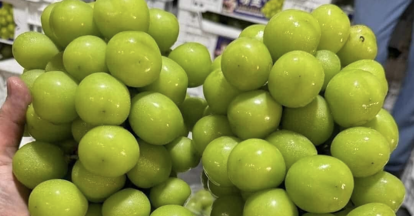 https://static-images.vnncdn.net/vps_images_publish/000001/00000Q/2025/1/15/low-cost-chinese-milk-grapes-dominate-vietnamese-markets-despite-safety-warnings-da4c340731ef4c6d9a0fac2d264e904d-65390.png?s=d_pph_LGOyYQFdDmh5WWLQ&width=0